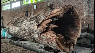 Dangerous Discovery Inside Hollow Log ‼ Sawmill Workers Terrified