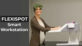 Flexispot Sit to Stand Smart Workstation