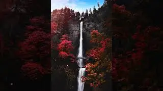 New Video wallpaper 2020