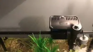 Top Fin 10 Gallon Fish Tank