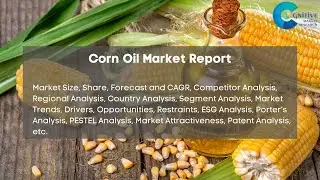 Corn Oil Market Report 2024| Forecast, Industry Trend,share Price,Market Size & Growth