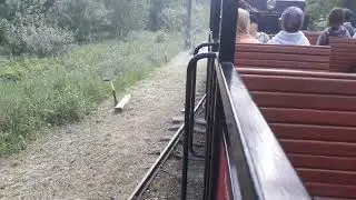 Lavassaare kitsar&ouml;&ouml;pmeline aururong Steam engine on narrowgauge railway in Lavassaare, Estonia