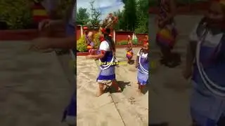 Anal Naga cultural dance clip