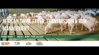 ASF Transmission & Risk Management