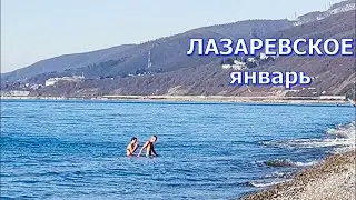Купальный сезон продолжается! Зимуем у моря. Лазаревское, 19 января