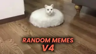 RANDOM MEMES COMPILATION V4 - 2022 Memes