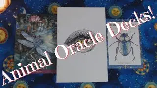 Animal Kin Oracle Walkthrough - and my experience with Animal Oracles