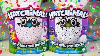 Hatchimals Unboxing Birthday Party Toys for Girls Surprise Eggs Toy Hatchy Birthday Kinder Playtime