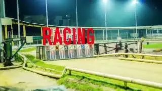 Owlerton Greyhound Stadium - Sheffield's Top Night Out