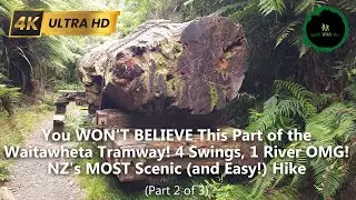 The Waitawheta Tramway: NZ's MOST Scenic Hike (Part 2), #nature #forestsounds #asmr
