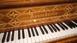 Rare & Unique Bosendorfer Art Case  Piano Tour At Classic Pianos Portland