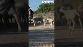 Velikani hrvatskog glumi&scaron;ta  Fabijan i Ivo