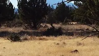 13265 Southwest Airstrip