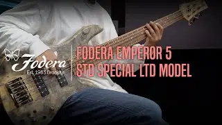 Fodera Emperor 5 Standard Special LTD Demo - &lsquo;Theme&rsquo; by Bassist 송하영 (Hayoung Song)