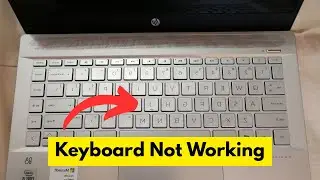 How to Fix Laptop Keyboard Not Working Only Sound 
