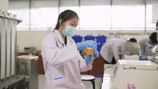 Fakultas Teknik Kimia Universitas Brawijaya Malang - DNproSTUDIO