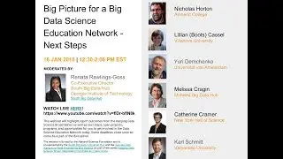 Big Picture for a Big Data Science Education Network - Next Steps