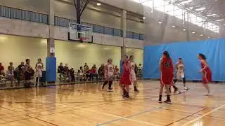 Minnesota Stars Bjorgaard defeats 43 Hoops 2022, 56-26 - AAU Minnesota State Prelims