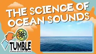 The Science of Ocean Sounds - Tumble Science Podcast for Kids