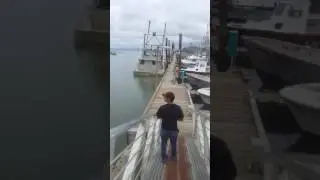 El puerto en Nahcotta, WA y Baltazar 2016