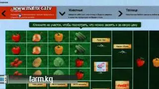 (160) Найдено В Сети
