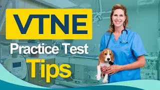 VTNE Test Training Tips 2026 Veterinary Technician National Examination - ALL You Need to Know