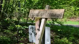 Neckarland SW 7: von Oberstenfeld nach Marbach am Neckar