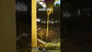 JE VEUX DES CONSEILS DE SIRVIE LA ARK Acsended 4k