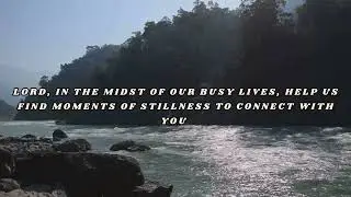 Finding Peace in Stillness
