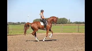 proefgerichte clinic ZZ licht Mathie Boomaars