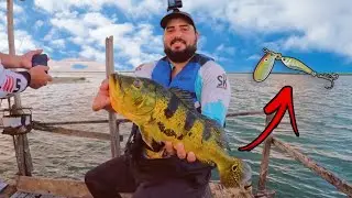 Se voc&ecirc; N&Atilde;O PESCA com ESSA ISCA, est&aacute; PERDENDO TEMPO!