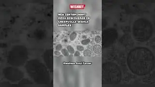 Mpox Virus: Spread, Detection, and Prevention #shorts