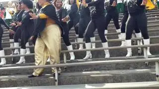 KSU Alumni K-rettes March in the MMT at Homecoming, October 15, 2016