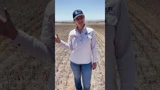 Ag Research - the seasonal timeline | Episode 5 | A day in the life