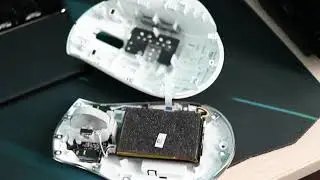 Чистка и разборка мышки Razer Pro Click - ложные срабатывания колесика мышки