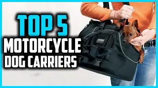 ✅Top 5 Best Motorcycle Dog Carriers in 2025