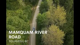 Exploring Squamish Logging Roads | Off-Road Adventure to Mamquam River | British Columbia Nature