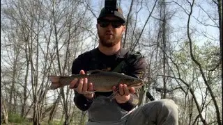Quick Morning Fly Fishing Session on the Lehigh River