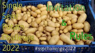 Single Seed Potato Challenge 2022 - Invitation and Rules