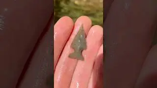 Perfect bird point found arrowhead hunting #nativeamericanartifacts #arrowhead #rockhounding