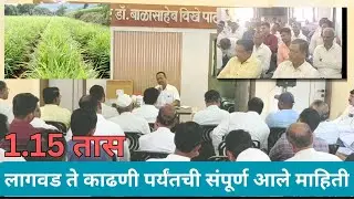 एका तासात घ्या अद्रक(आले) पिकाची संपूर्ण माहिती.