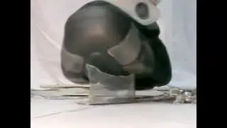 Swear Exterminator vs. Diskettenbox