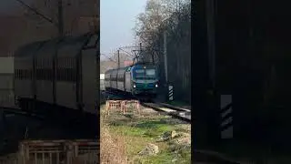 80 035 #train #railway #trainspotting #bulgaria #bdz #siemens #smartron