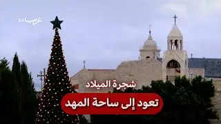 بيت لحم.. بشجرة 