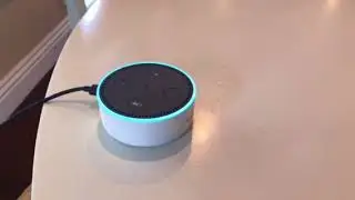 Testing New Features of the Surf Checker Alexa Skill