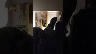 More bongos 🥳
