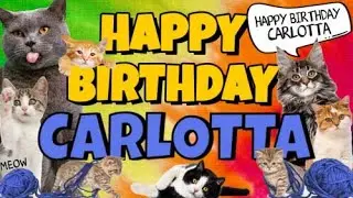 Happy Birthday Carlotta! Crazy Cats Say Happy Birthday Carlotta (Very Funny)