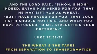 The Kingdom of Love | A Daily Devotional – [The Wheat & Tares - From Separation to Transformation]