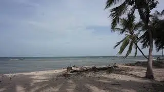 MAH05617