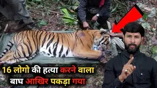 जब गांव में घुसा तेंदुआ, मचा हड़कंप और 8 लोगों को किया घायल, फिर कैसे हुआ रेस्क्यू।😱 Leopord Rescue